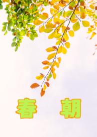 如果不曾遇见全文免费