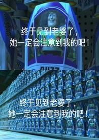 最强都市神医赘婿林羽
