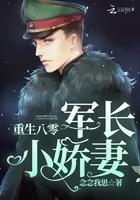 明月曾照江东寒电视剧免费观看