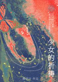 南诏王妃四部曲讲的什么故事