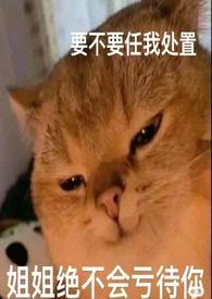 冤家路窄完结版